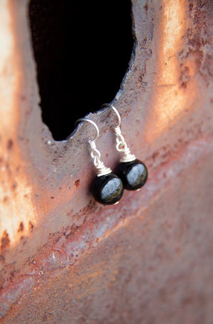 Jewelry Sale! Sterling Silver Onyx Earrings